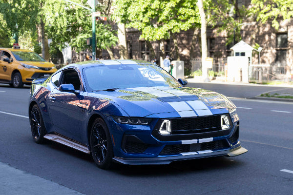 NYC Street Mustang
