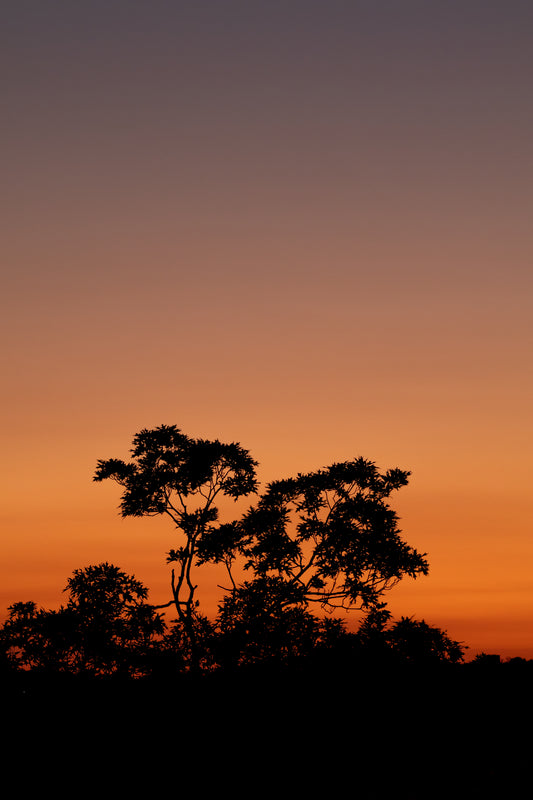 Oviedo Sunset Framed Glossy Print